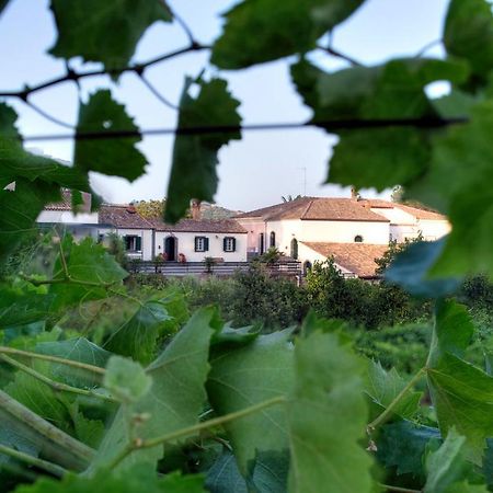 Casa Vacanze Etna Piedimonte Etneo Exteriör bild