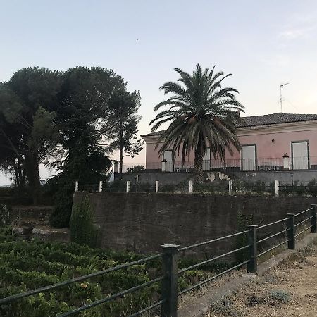Casa Vacanze Etna Piedimonte Etneo Exteriör bild
