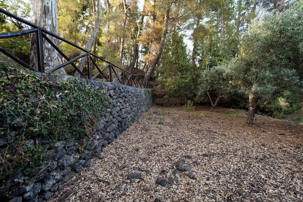Casa Vacanze Etna Piedimonte Etneo Exteriör bild