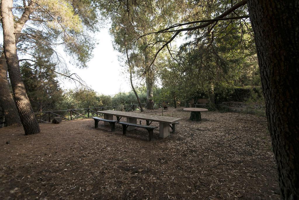 Casa Vacanze Etna Piedimonte Etneo Exteriör bild