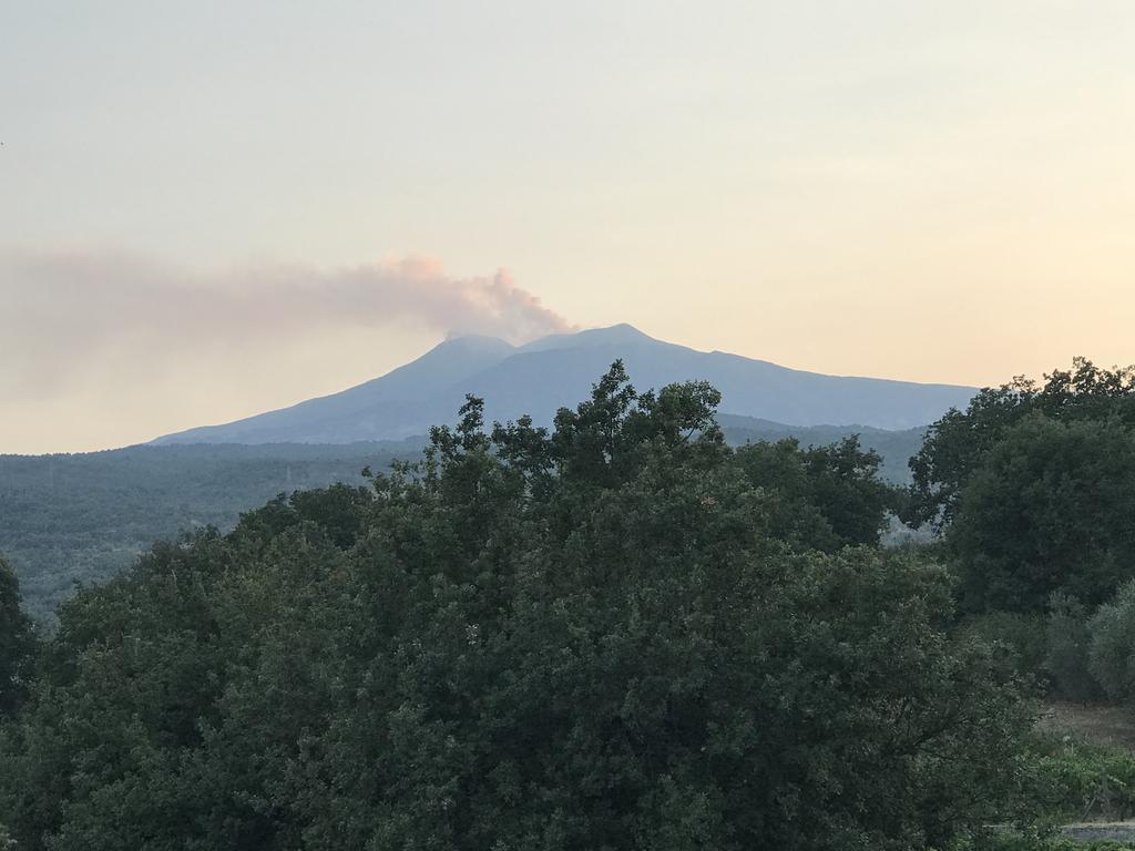 Casa Vacanze Etna Piedimonte Etneo Exteriör bild