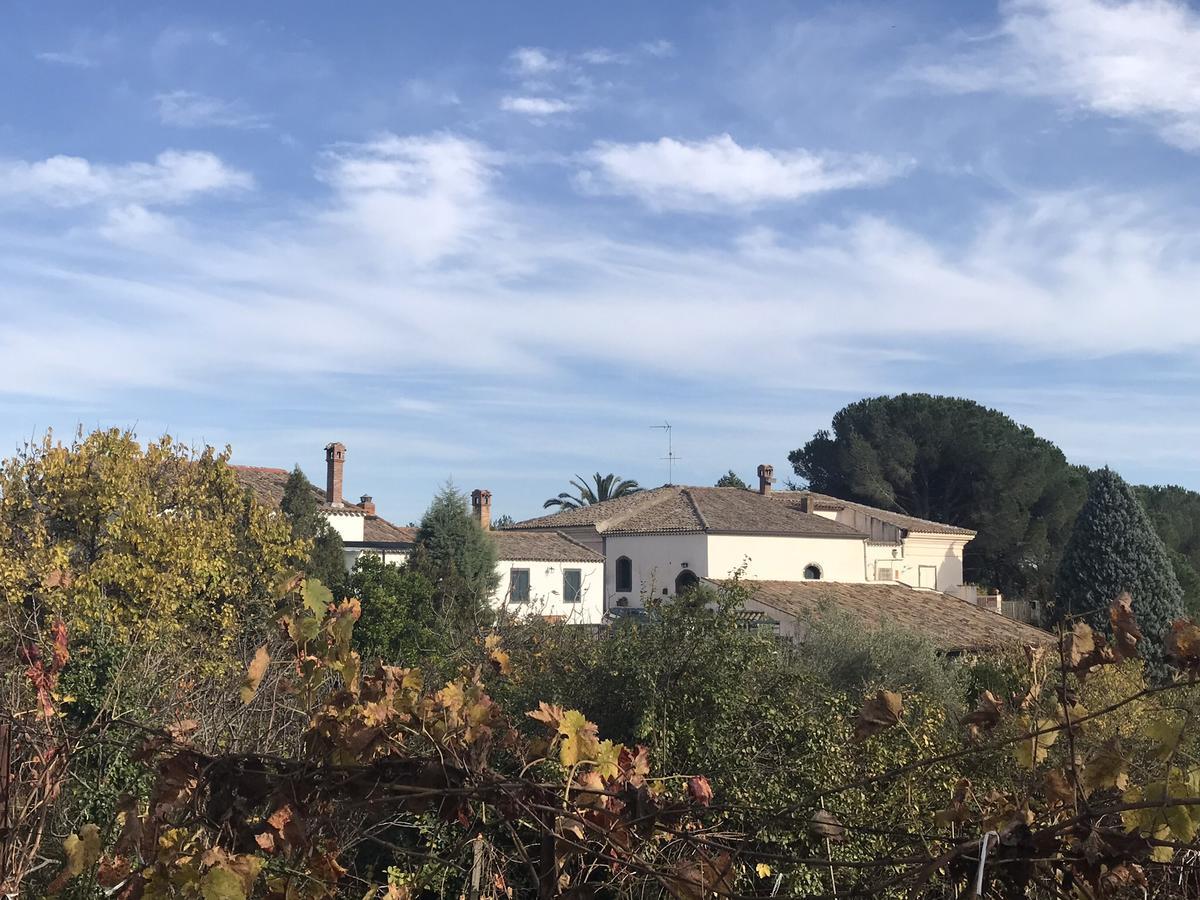 Casa Vacanze Etna Piedimonte Etneo Exteriör bild